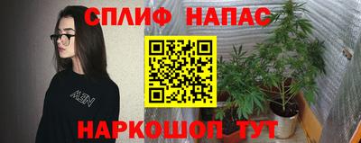 дмт Бузулук